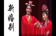 Teochew Opera-广东省百花潮剧院《洛神》复排版