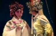 Teochew Opera-广东省百花潮剧院《洛神》复排版