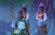 Teochew Opera-广东省百花潮剧院《洛神》复排版