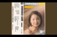 Teochew Opera-广东省百花潮剧院《洛神》复排版