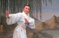 Teochew Opera-广东省百花潮剧院《洛神》复排版