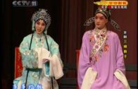 Teochew Opera-广东省百花潮剧院《洛神》复排版