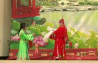 Teochew Opera-广东省百花潮剧院《洛神》复排版
