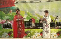 Teochew Opera-广东省百花潮剧院《洛神》复排版