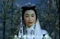 Teochew Opera-广东省百花潮剧院《洛神》复排版