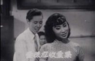 Teochew Opera-广东省百花潮剧院《洛神》复排版