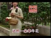 Teochew Opera-广东省百花潮剧院《洛神》复排版