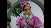 Teochew Opera-广东省百花潮剧院《洛神》复排版