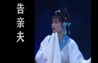 Teochew Opera-广东省百花潮剧院《洛神》复排版