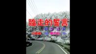 Teochew Opera-广东省百花潮剧院《洛神》复排版