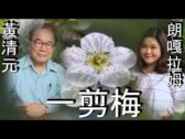 Teochew Opera-广东省百花潮剧院《洛神》复排版