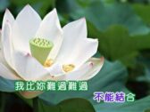 Teochew Opera-广东省百花潮剧院《洛神》复排版