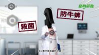 Teochew Opera-广东省百花潮剧院《洛神》复排版