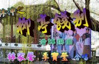Teochew Opera-广东省百花潮剧院《洛神》复排版