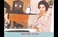 Teochew Opera-广东省百花潮剧院《洛神》复排版