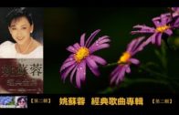 Teochew Opera-广东省百花潮剧院《洛神》复排版
