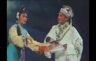 Teochew Opera-广东省百花潮剧院《洛神》复排版