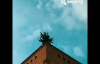 1636750994_hqdefault.jpg