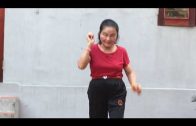 Teochew Opera-广东省百花潮剧院《洛神》复排版