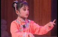 Teochew Opera-广东省百花潮剧院《洛神》复排版