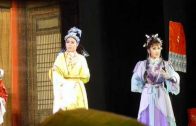 Teochew Opera-广东省百花潮剧院《洛神》复排版