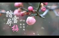 Teochew Opera-广东省百花潮剧院《洛神》复排版