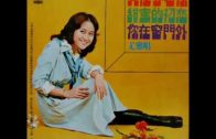 Teochew Opera-广东省百花潮剧院《洛神》复排版