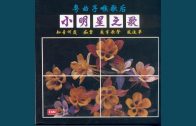 Teochew Opera-广东省百花潮剧院《洛神》复排版
