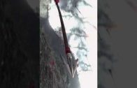 1638543769_hqdefault.jpg