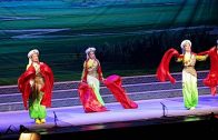 Teochew Opera-广东省百花潮剧院《洛神》复排版