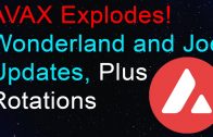 1639044122_maxresdefault.jpg