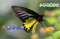 Teochew Opera-广东省百花潮剧院《洛神》复排版