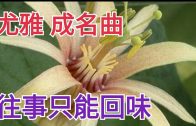Teochew Opera-广东省百花潮剧院《洛神》复排版