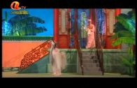 Teochew Opera-广东省百花潮剧院《洛神》复排版