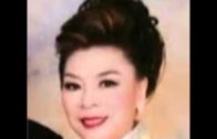Teochew Opera-广东省百花潮剧院《洛神》复排版
