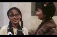 Teochew Opera-广东省百花潮剧院《洛神》复排版
