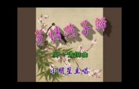 Teochew Opera-广东省百花潮剧院《洛神》复排版
