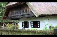 1641020473_hqdefault.jpg