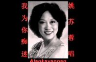 Teochew Opera-广东省百花潮剧院《洛神》复排版