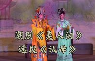Teochew Opera-广东省百花潮剧院《洛神》复排版