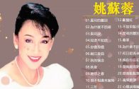 Teochew Opera-广东省百花潮剧院《洛神》复排版