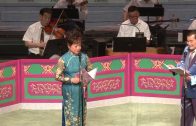 Teochew Opera-广东省百花潮剧院《洛神》复排版