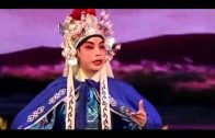 Teochew Opera-广东省百花潮剧院《洛神》复排版