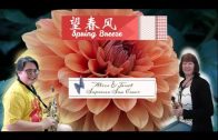 Teochew Opera-广东省百花潮剧院《洛神》复排版