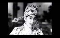 Teochew Opera-广东省百花潮剧院《洛神》复排版