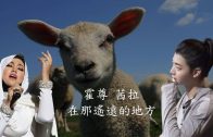 Teochew Opera-广东省百花潮剧院《洛神》复排版