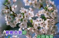 Teochew Opera-广东省百花潮剧院《洛神》复排版