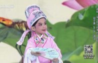 Teochew Opera-广东省百花潮剧院《洛神》复排版