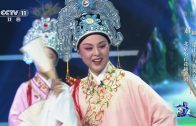 Teochew Opera-广东省百花潮剧院《洛神》复排版