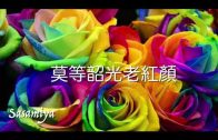 Teochew Opera-广东省百花潮剧院《洛神》复排版